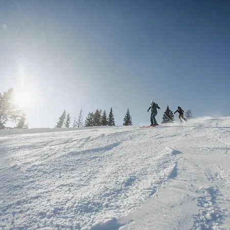 Hotell Waldfrieden Schladming